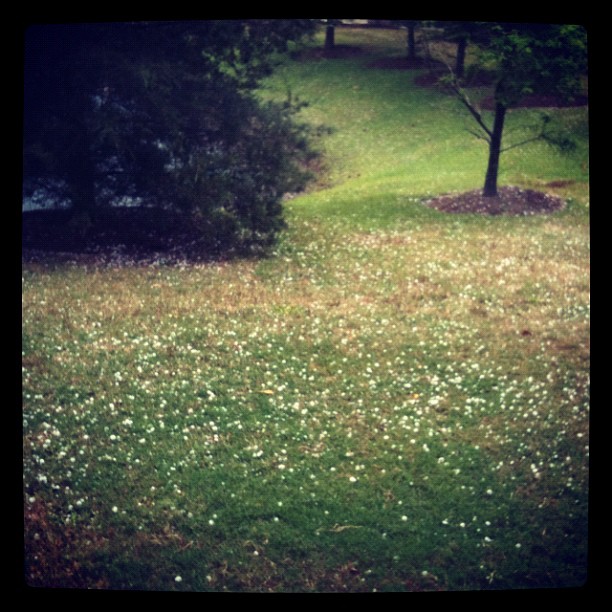 Hail….Almost like snow! :)
