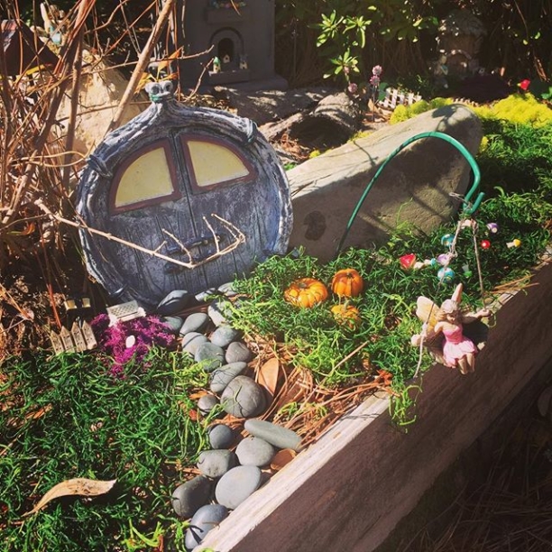 The fairies are ready for fall…..even though it’s still blazing hot. #fallhopes #fairygarden #itsthelittlethings