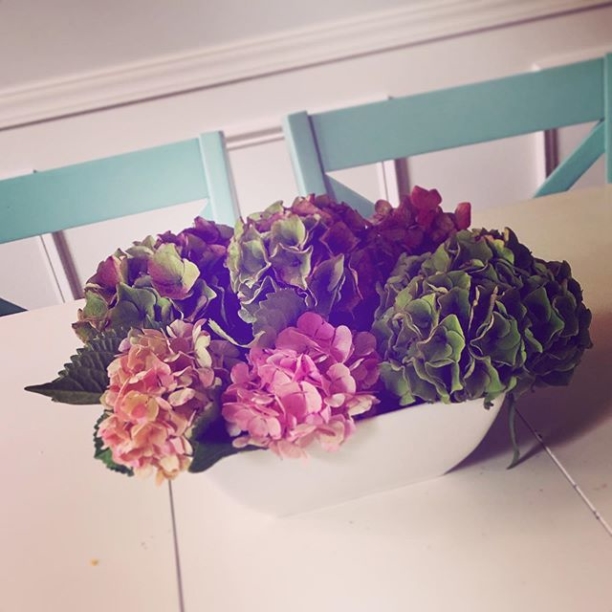 Fruits of a happy summer #hydrangea #flowerpower #noplacelikehome